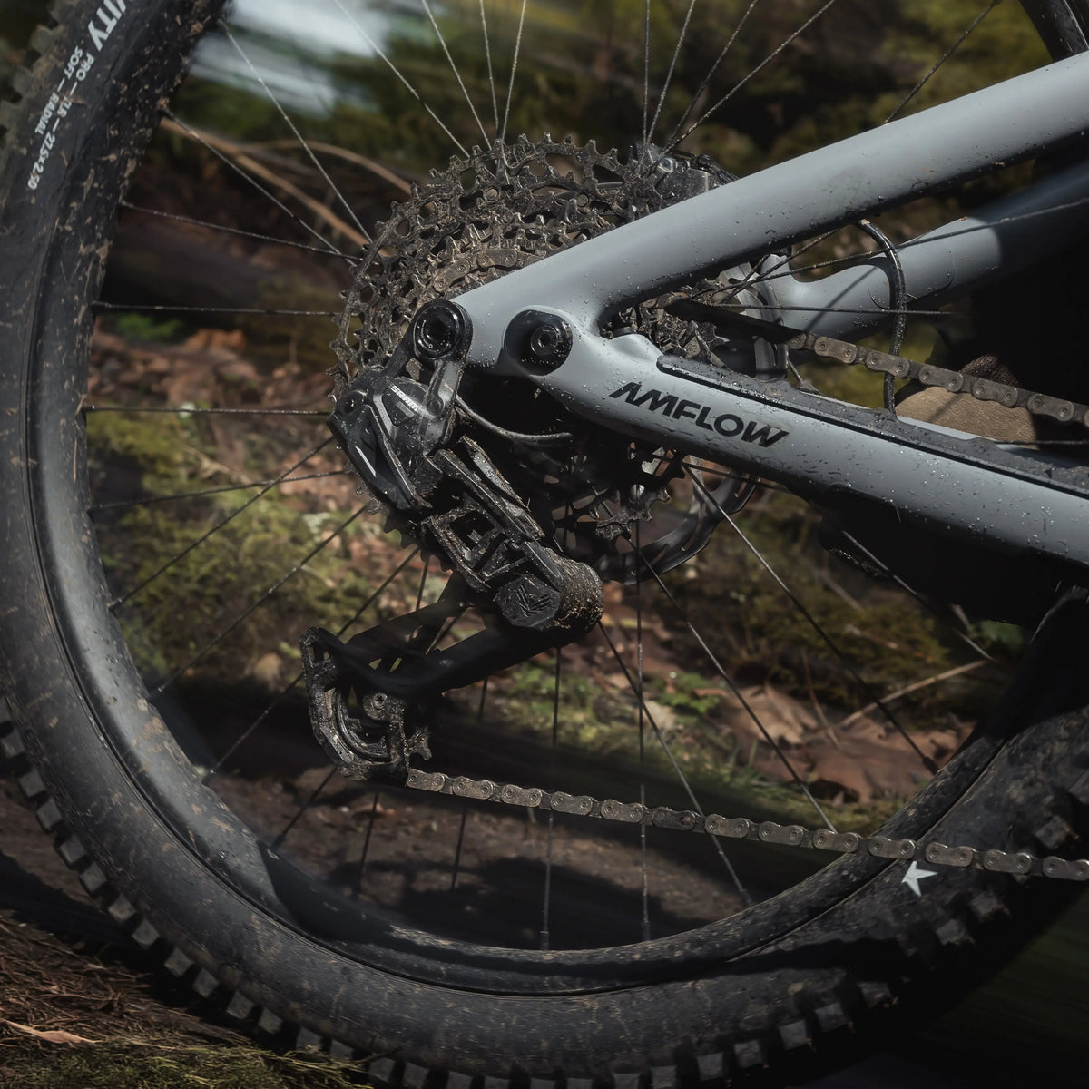 Amflow PR Carbon Pro 2027