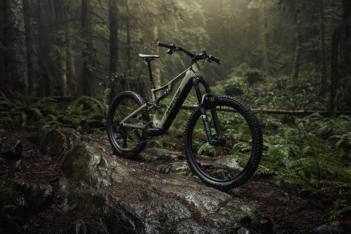 Amflow PR Carbon 2027