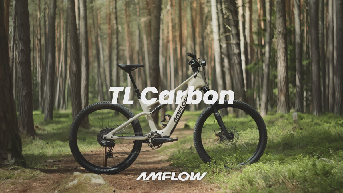 Amflow TL Carbon 2027